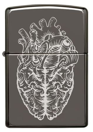 Heart Brain - All Materials